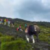 3-days-nyiragongo-hiking-750×450